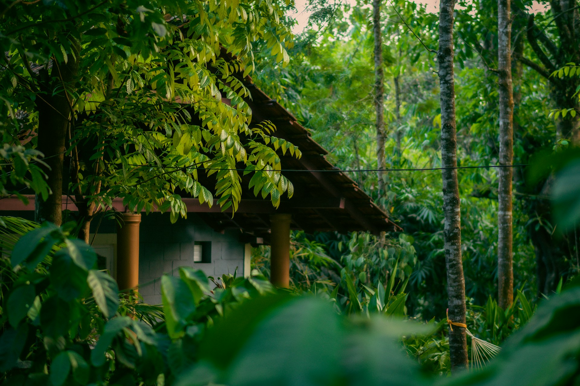 Coorg, Karnataka, India