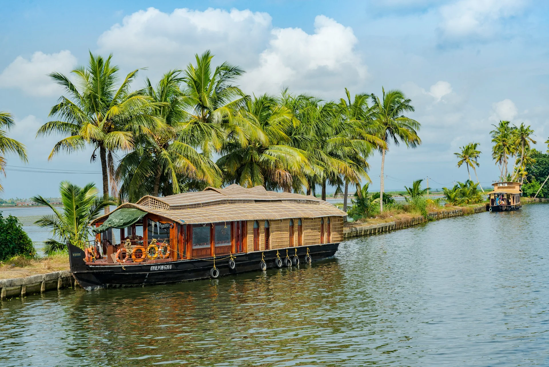 Experience a Serene Backwater Cruise