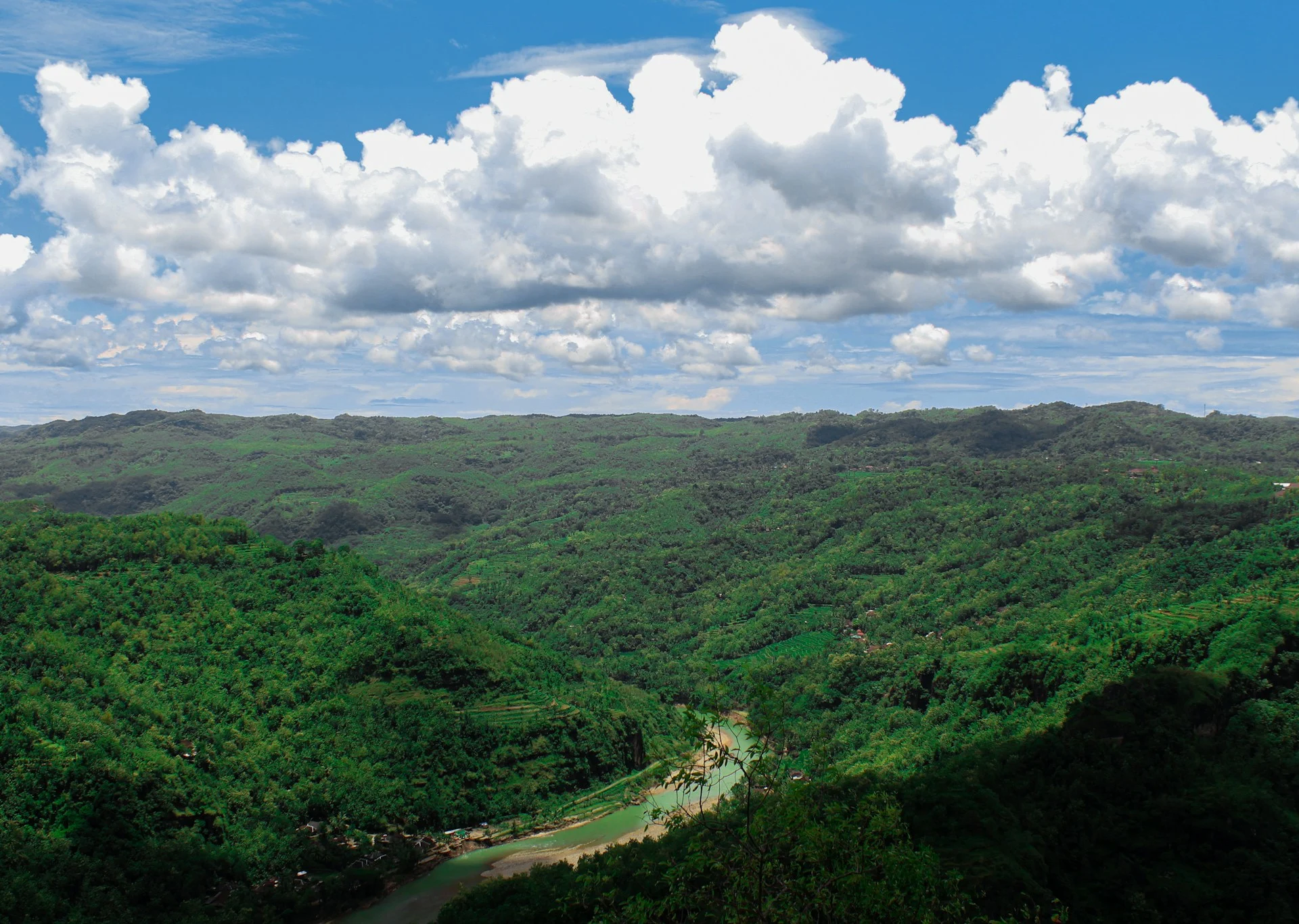 Eravikulam National Park