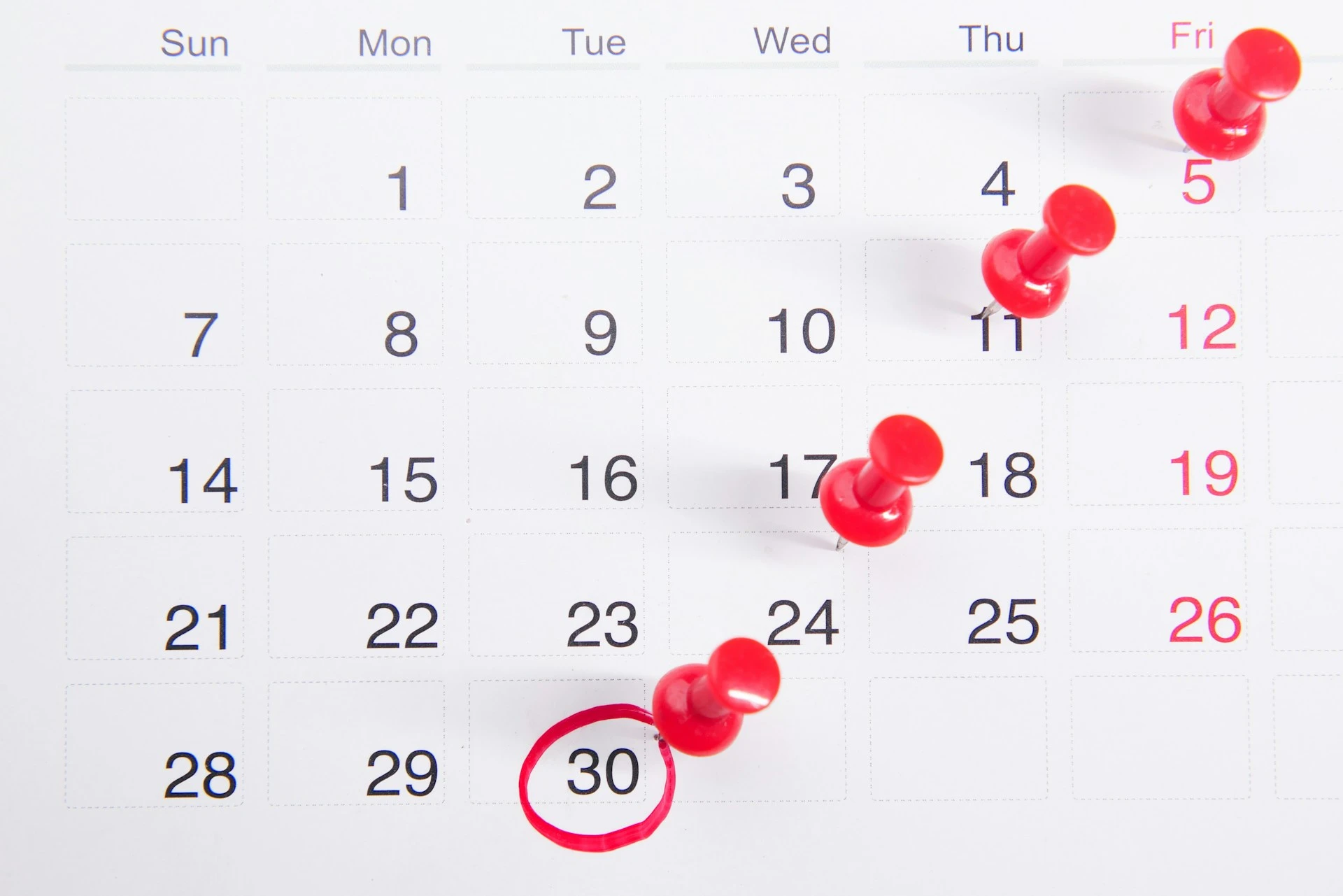 The Date