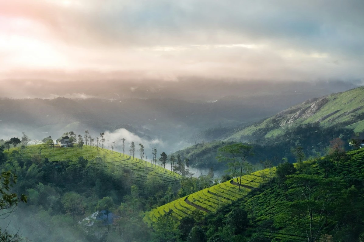 mountain and hill view of Munnar Kerala