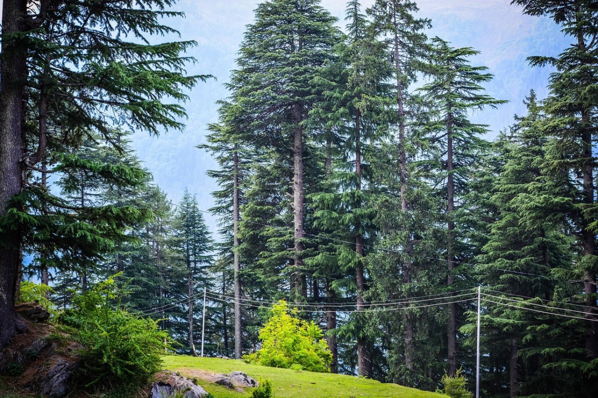 Manali