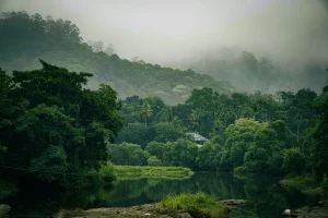 Thekkady, Kumily, Kerala, India