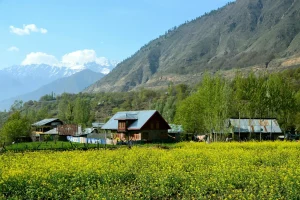 India J&K