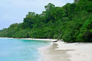 Kala Pathar Beach, Andaman and Nicobar Islands