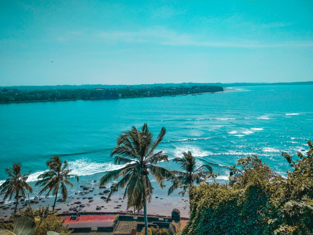Golden sandy beach in Goa with palm trees, vibrant beach shacks, and waves gently rolling in under a sunny sky