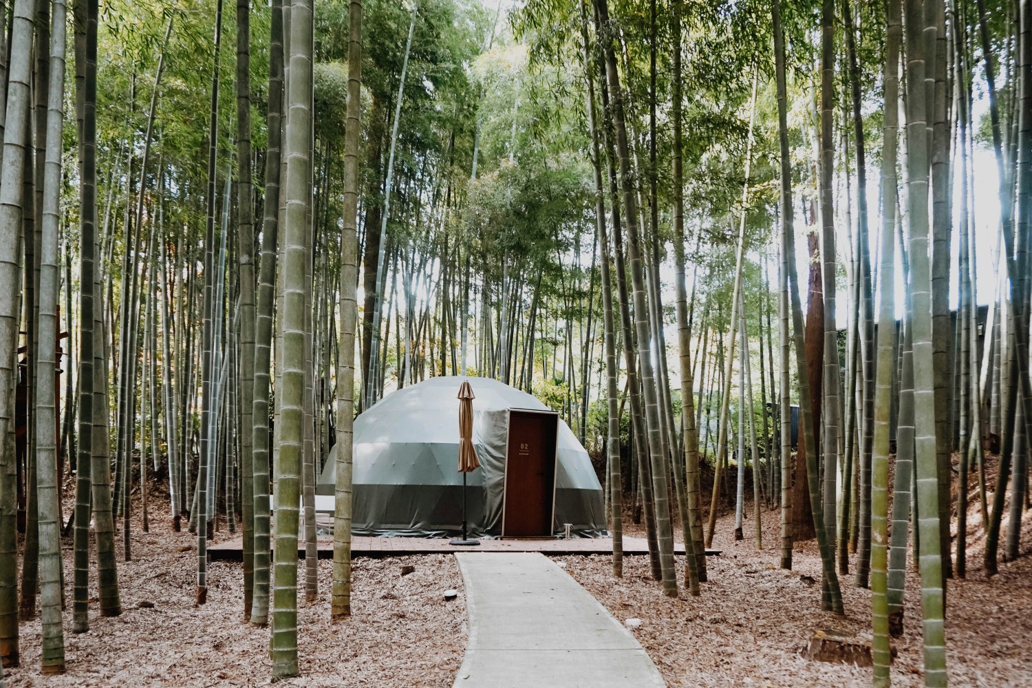 Glamping dome nestled in a bamboo forest in Pai, Thailand—a peaceful escape for artists and nature lovers.