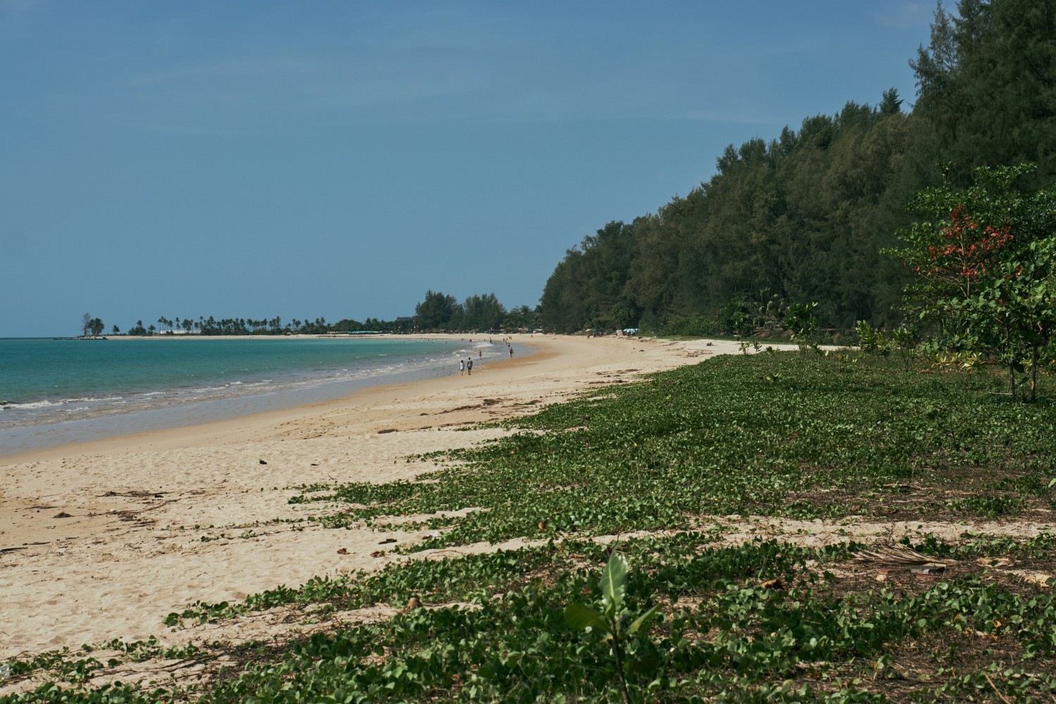 Where time slows down and the sea speaks softly—Thaikadappuram Beach vibes.