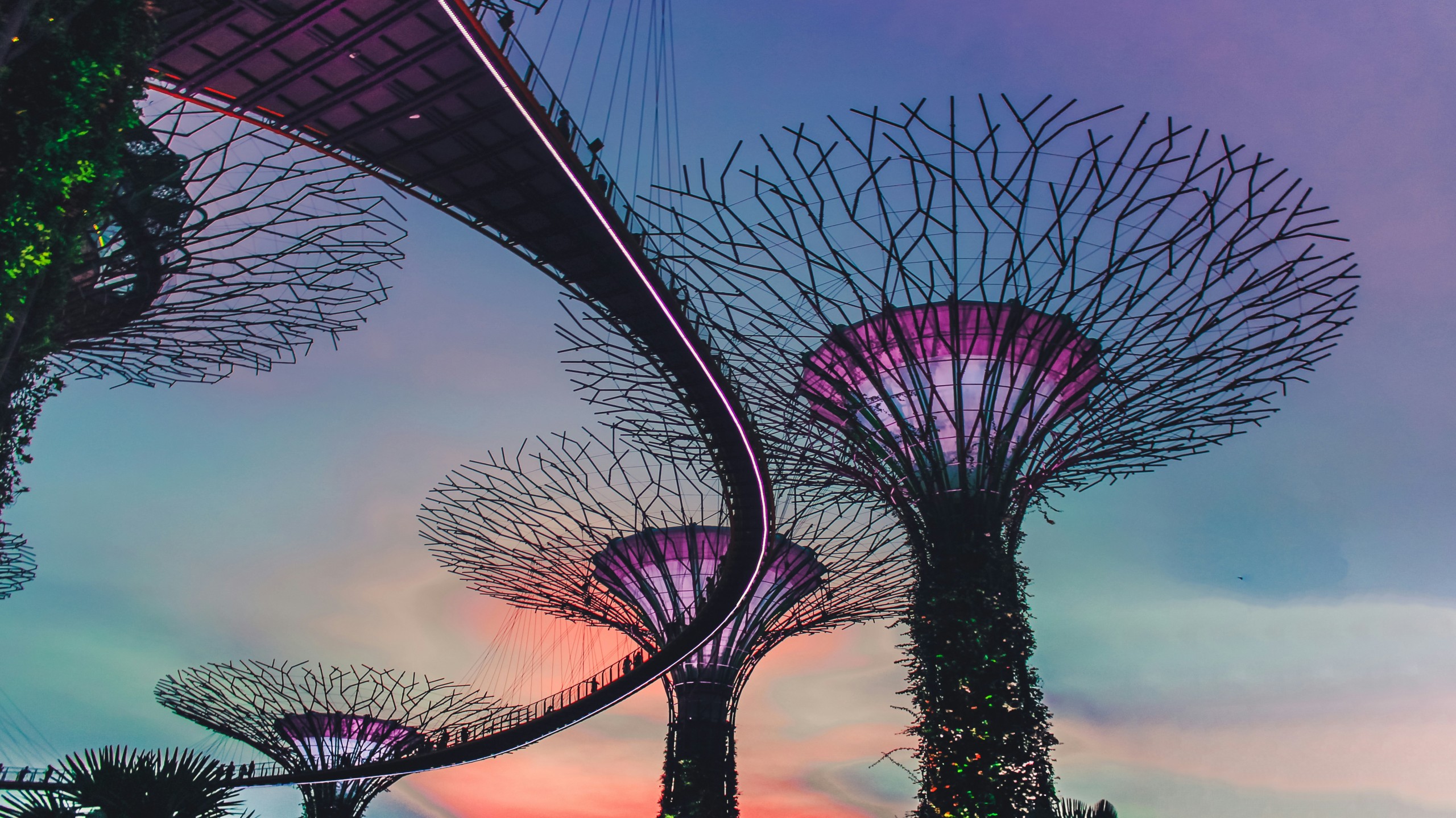 Gardens by the Bay: Singapore’s Glow-Up at Night