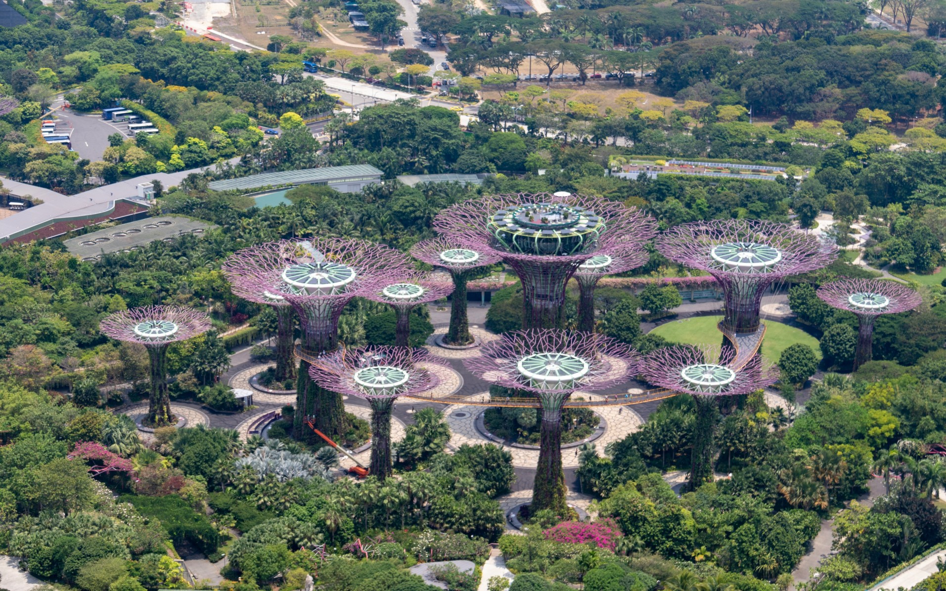 Supretree Grove at Bay of Singapore