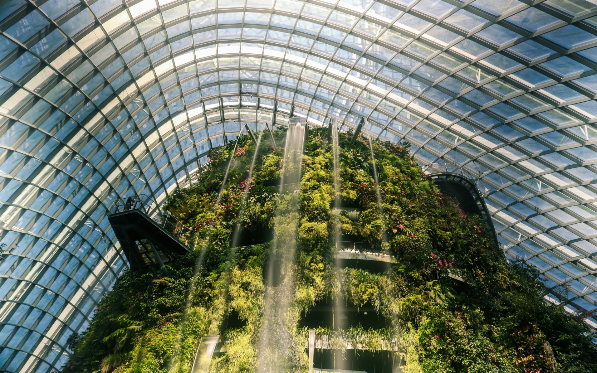 Cloud Forest Singapore 