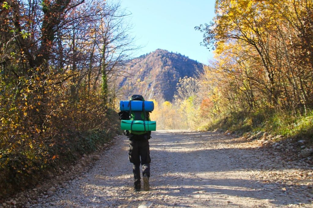 traveler