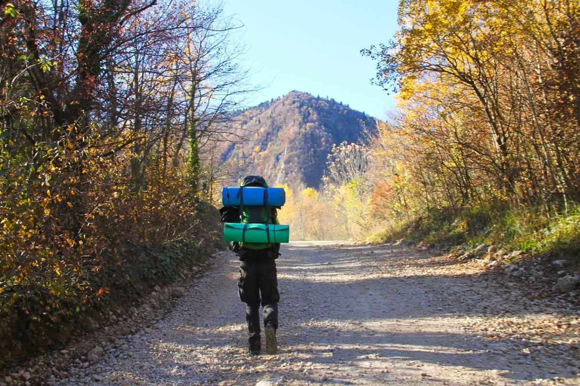 traveler