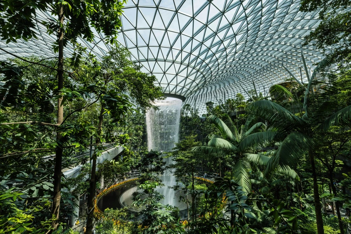 Botanical garden Singapore tour