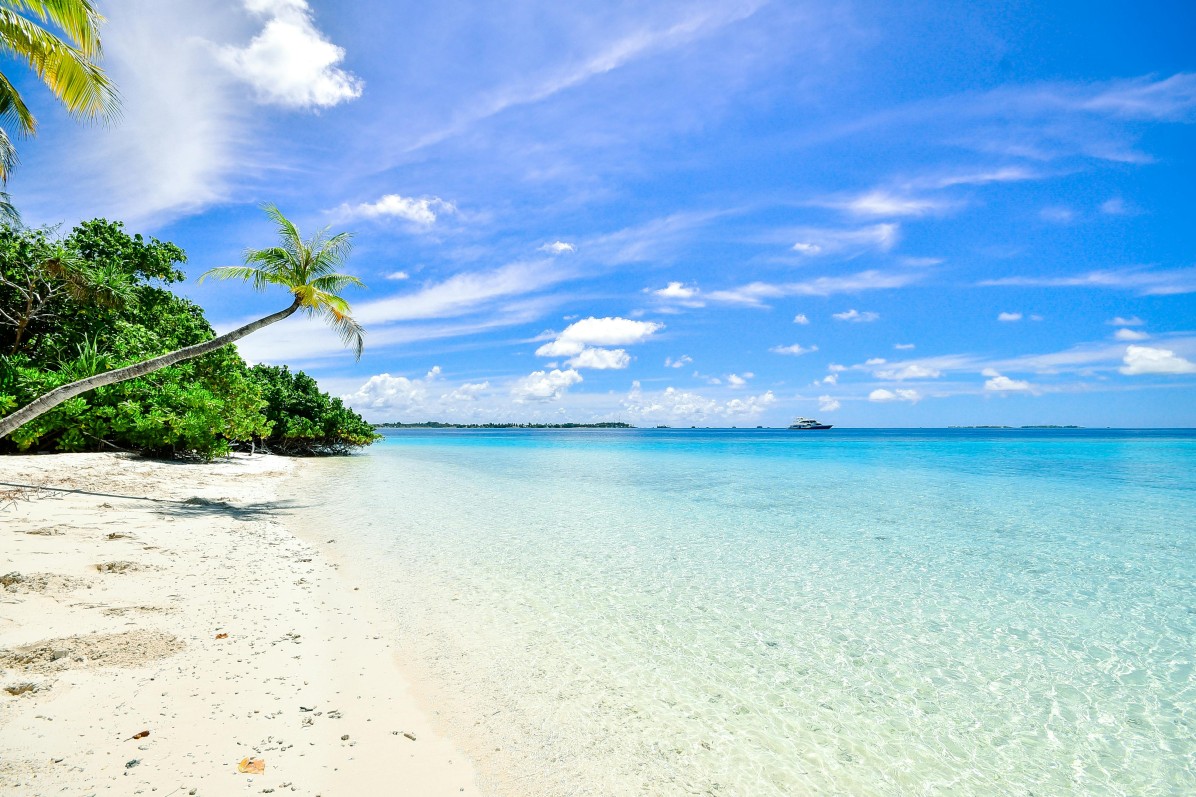Beach view white sand and coconut tree