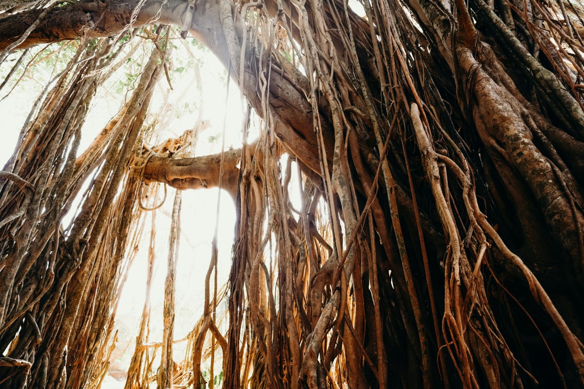 Responsible haunted travel