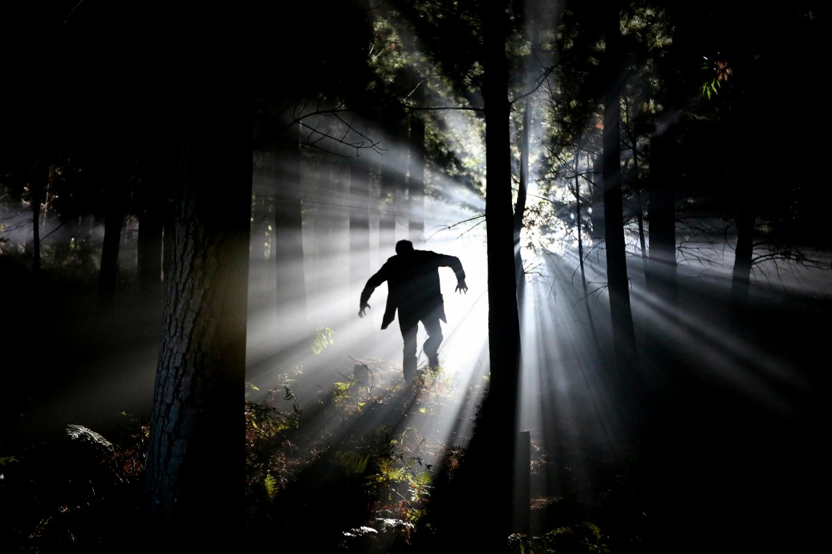top haunted forests in the world