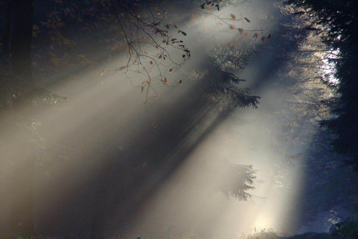 Black Forest, Germany