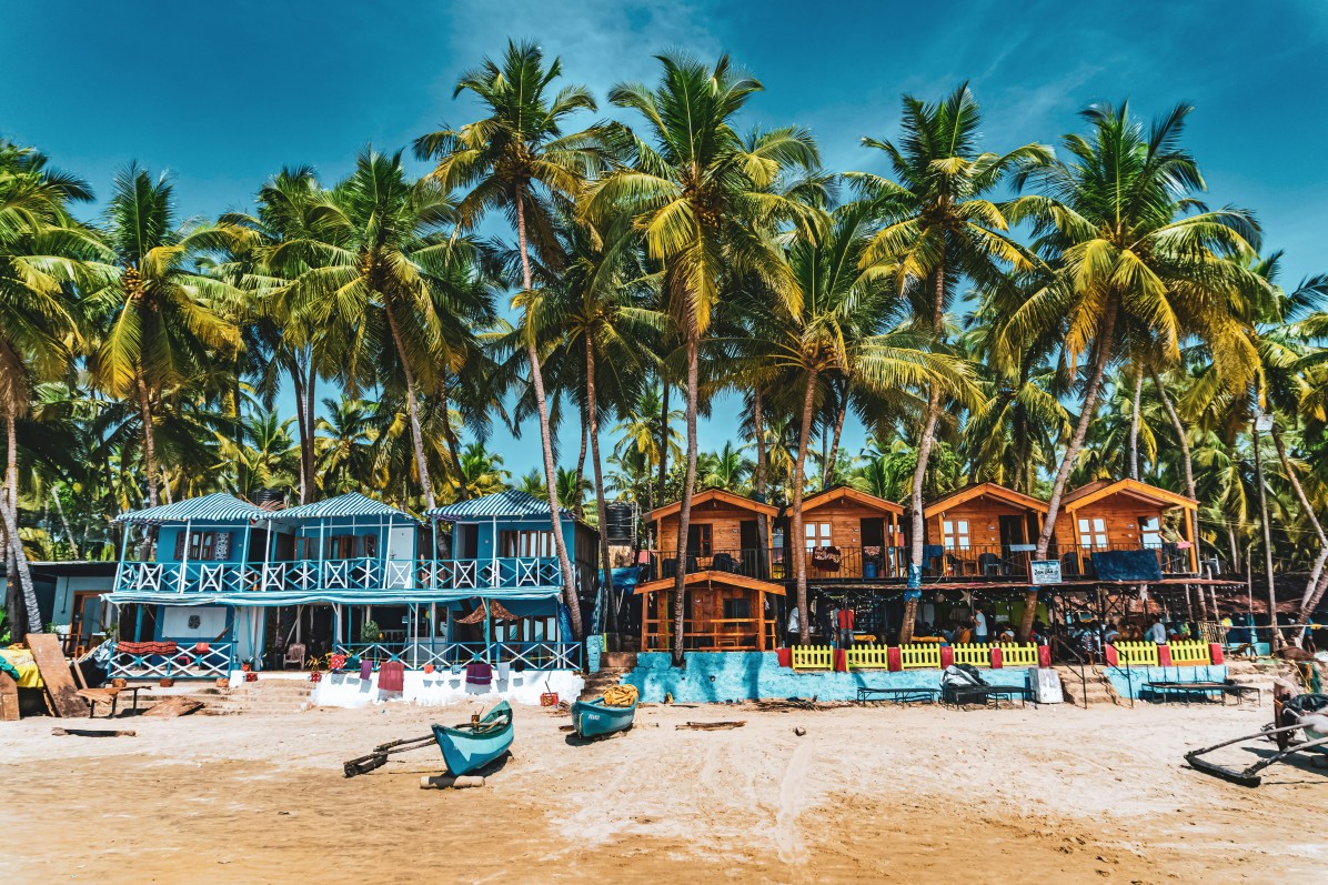 Goa Beach view, coconut trees