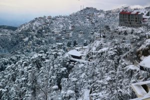 shimla winter view