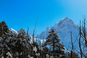 mountain view at shimla