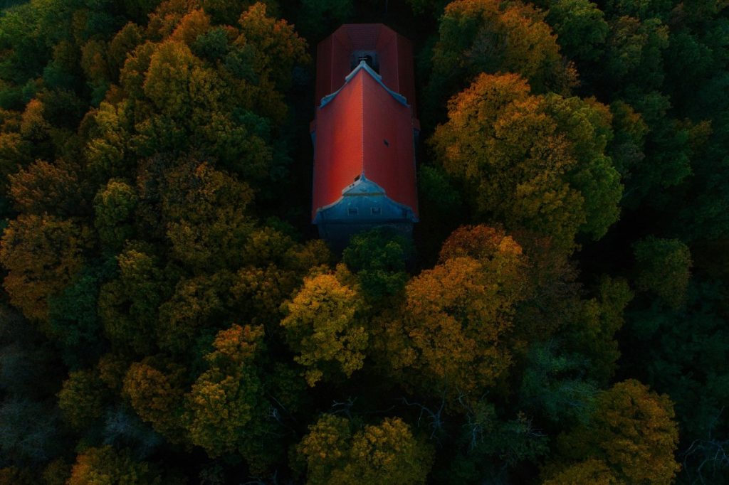 retreat inside deep forest