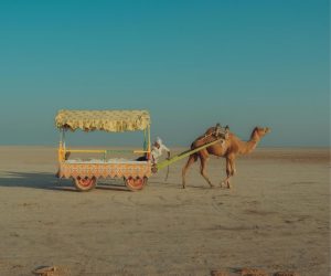 camel view at desert