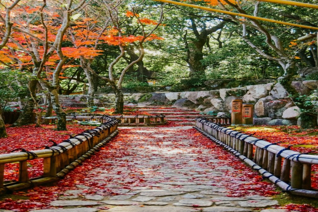 Japan Autumn season