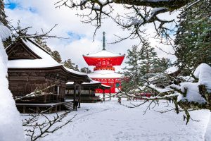 Winter In Mount Koya