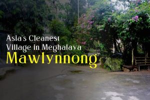 Mawlynnong village in Meghalaya featuring clean pathways, colorful gardens, and lush green surroundings.