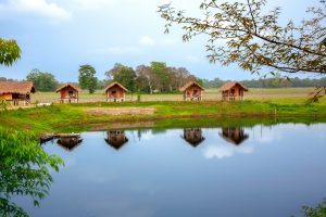 A beautiful houses of rural Assam in Majuli